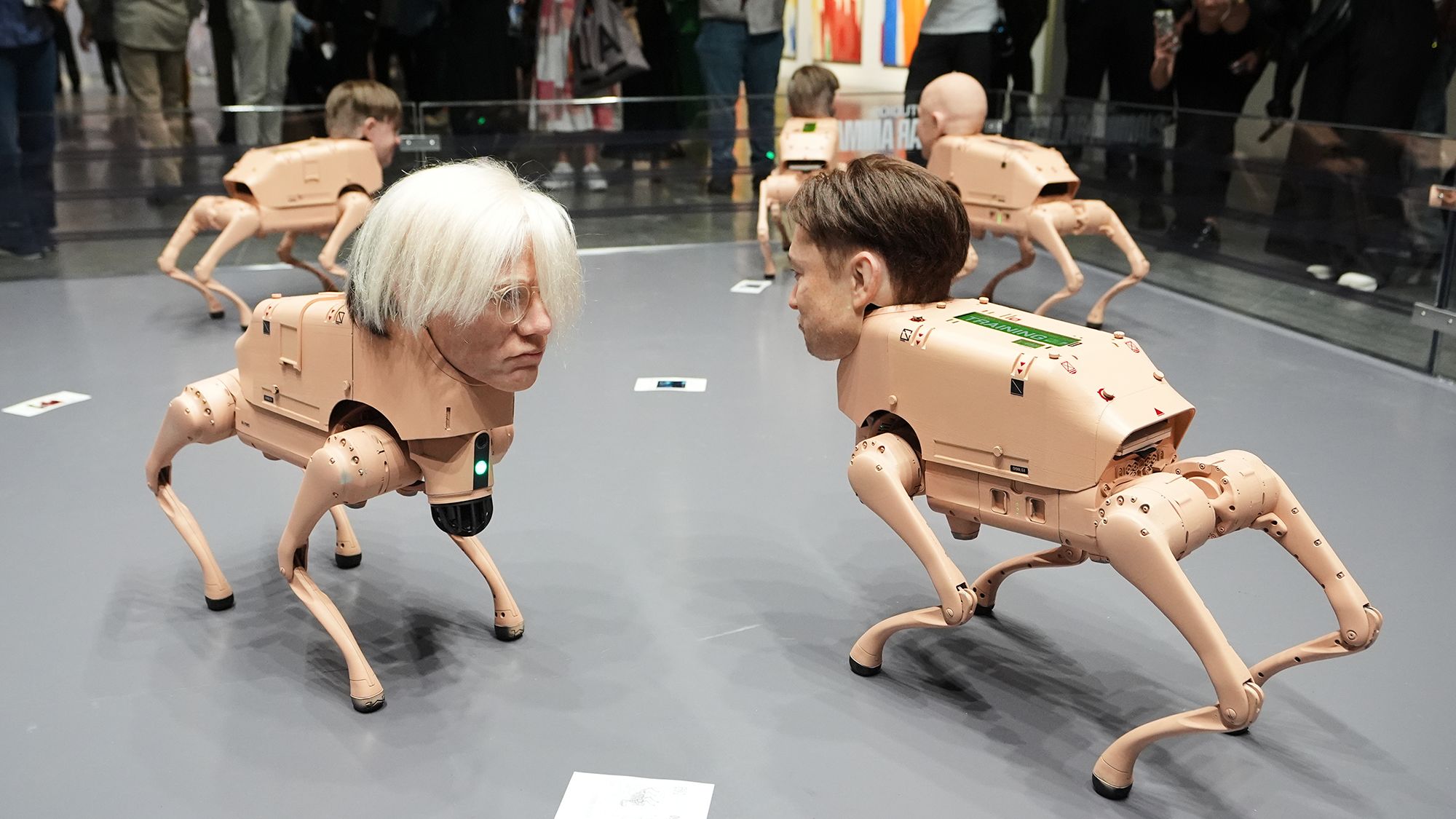 Robot dog at a sports event