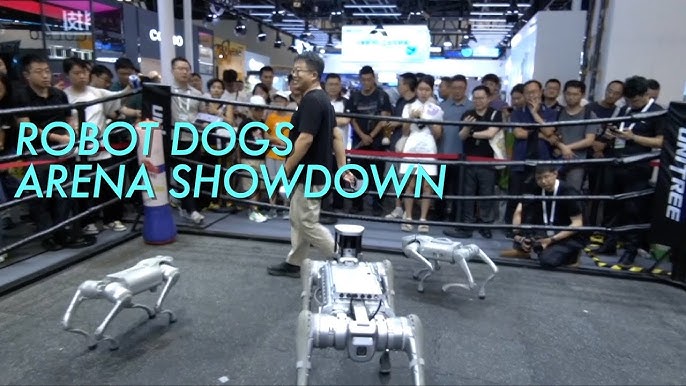 Robot dogs in the arena